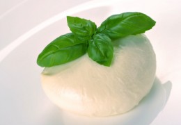 MOZZARELLA - NODINI DEL TRIGNO