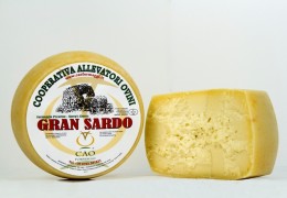 GRAN SARDO